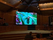 Écran d'affichage d'intérieur portatif de la publicité LED d'écran d'affichage de mur de P3.91 LED 500X500mm