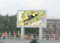 Écran extérieur d'affichage à LED de mur visuel polychrome du panneau d'affichage P10 pour la publicité commerciale