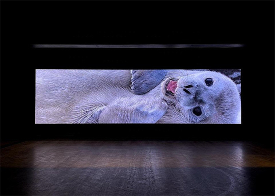 Affichage LED étanche et stable avec 1500 cd/m2 de luminosité et un angle de vision de 120° pour des performances optimales