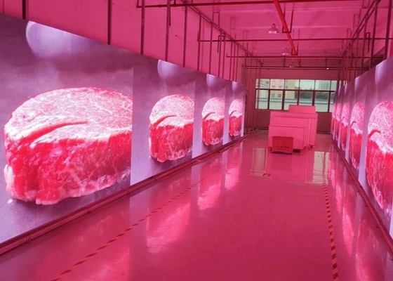 P4.81 Display LED en aluminium sous pression / location Écran P4 / P5 HD étanche à l'eau à l'intérieur et à l'extérieur