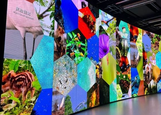 Écran de location en aluminium en fonte personnalisable Salle de réunion Église HD Écran LED flexible COB P0.9