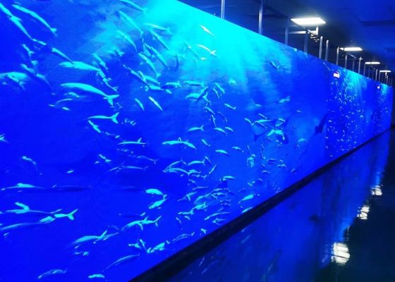 Écrans publicitaires LED à haute luminosité en couleur P6 SMD pour les autoroutes imperméables à l'eau