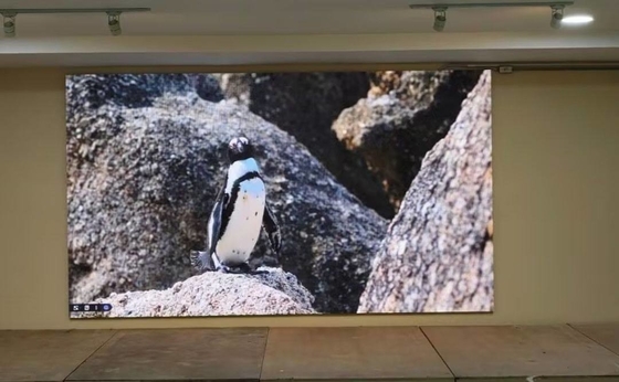 L'écran en aluminium moulé à la fonte HD Module personnalisable affichage LED HD Boîte imperméable à l'eau 320 * 160mm Système IP65 NOVA