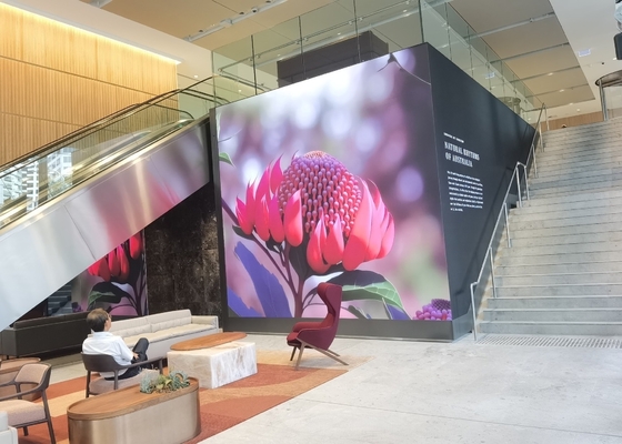Écran de location en aluminium moulé à la fonte RGB extérieur HD étanche à l' eau affichage vidéo LED, écran mural TV LED P8 couleur complète