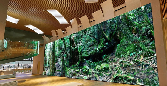 Écran LED de fond de scène intérieur personnalisable avec un taux de rafraîchissement élevé et IC MB5124/MB5024 en SMD1515 en aluminium sous pression