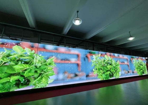 Location d'un écran en aluminium à moulage sous pression Location d'un écran LED extérieur en couleur Ultra HD P6.67 Écran LED rouge vert bleu