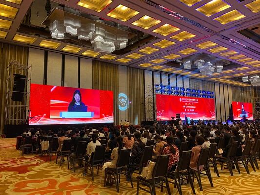 Écrans LED avec modules de 250 x 250 mm et résolution de 64 x 64 pixels pour un affichage détaillé