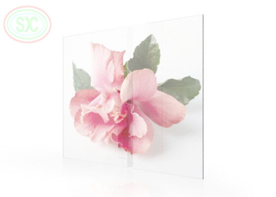 Écran LED transparent en treillis de verre commercial à l'intérieur P3.91-7.82 Pleine couleur