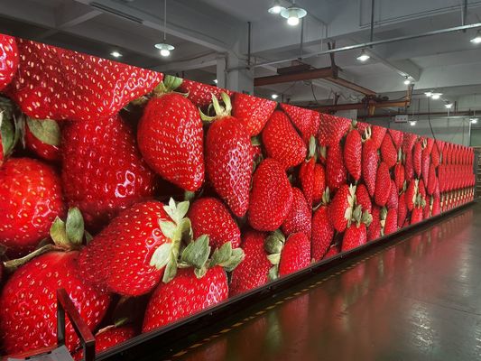 Affichage LED à couleur complète en intérieur sans couture P5 High Definition SMD 3 en 1 Léger