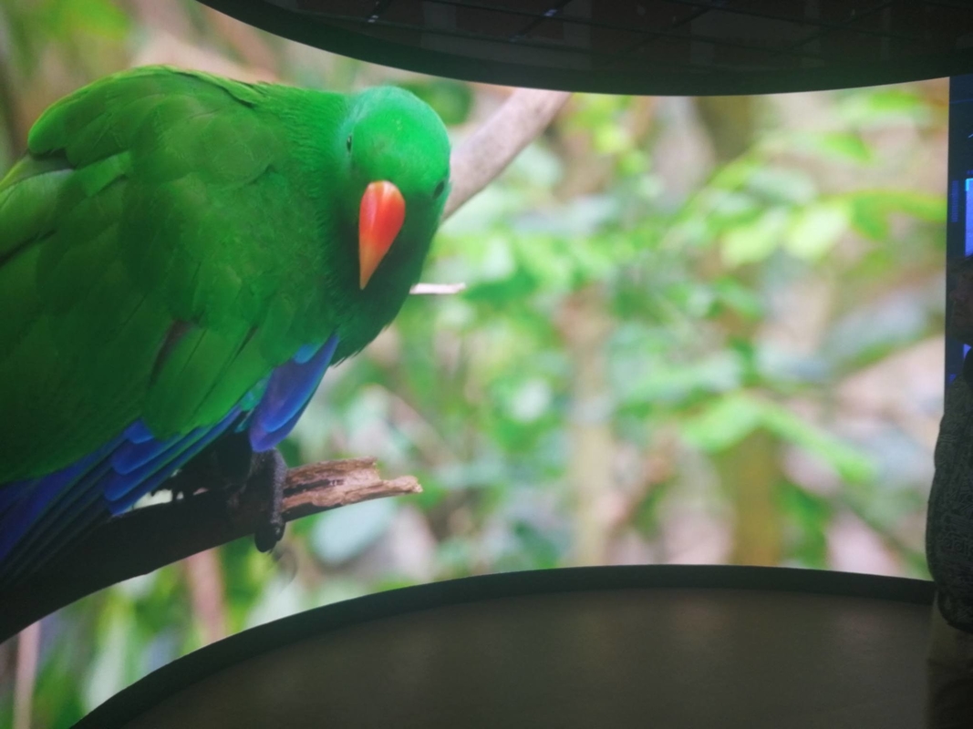 Module flexible HD en aluminium moulé sous pression pour écran publicitaire