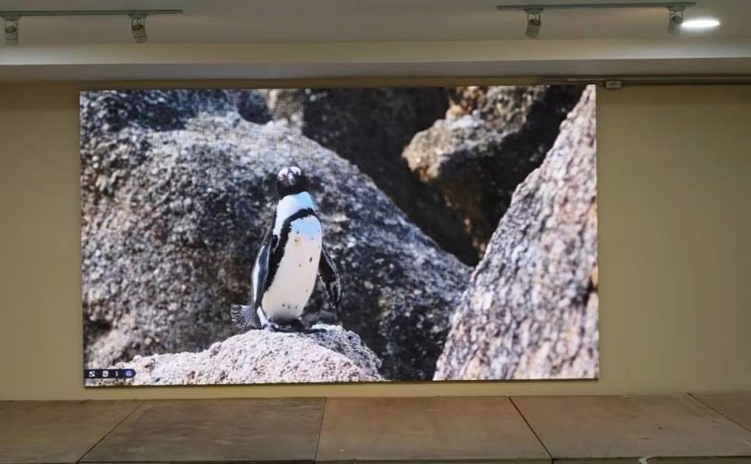 10. Panneau d'affichage LED haute définition avec résolution de module 208*104 et norme CE/ROHS/FCC