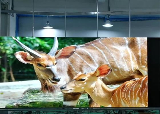 Haute définition fixée au mur de l'écran SMD1515 polychrome d'intérieur de P1.923 LED ultra