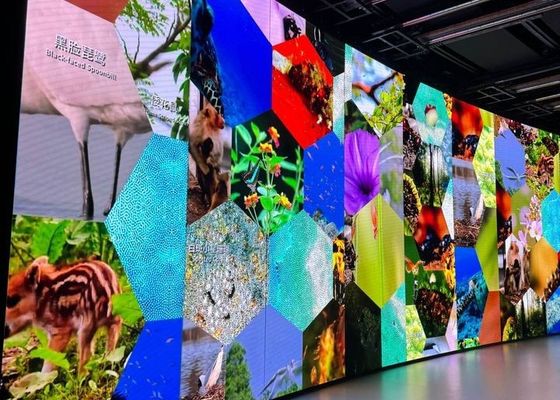 Pixel Pitch P6 affichage LED fixe avec SMD3535/2727 LED taille de forme et taille de l'armoire personnalisée