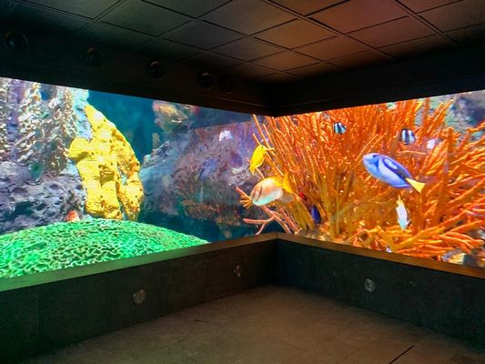 P5 Écran courbé à LED pour la publicité extérieure SMD2121, luminosité 2500 nits