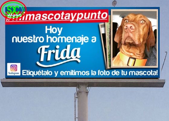 IP65 Armoire imperméable à l'eau extérieure Full Color LED Die-Cast Aluminium Pixel LED Standard