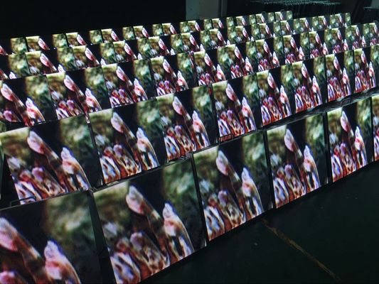 Mur imperméable extérieur 6500K-9500K de fond d'écran d'étape d'affichage à LED de location